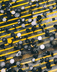 The Umbrella Revolution