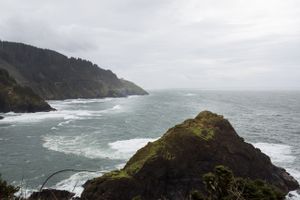 Oregon Coast, home to The Disaster Dogs
