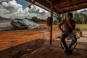 © Ricardo Teles