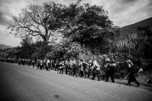 © Sebastian Castañeda