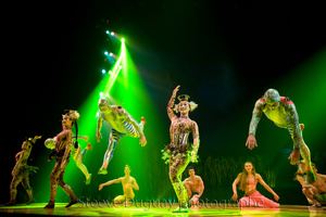 Cirque du Soleil