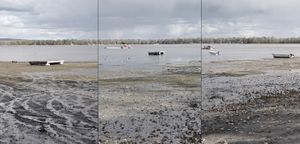 © 2011 Nicholas Adam Wojtas. All Rights Reserved