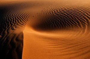 shapes of  desert 9