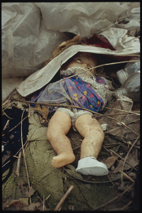 North 7th Street, Brooklyn, 2005