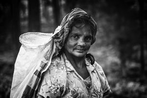 Toil & Trouble: Tea Plucker (Kandy, Sri Lanka)