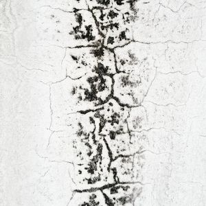 Abstract
