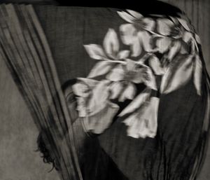 © Shahria Sharmin