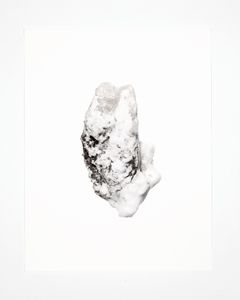 © Andy Mattern, Driven Snow #8516