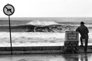 No-Dogs, Cascais, Portugal