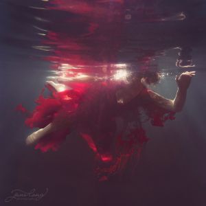 Ink- Red II