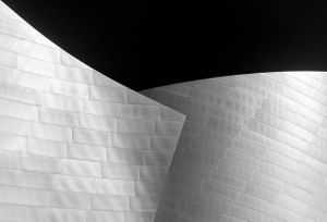 Disney Concert Hall | Los Angeles, California.