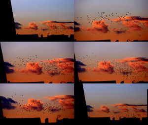 From my window.