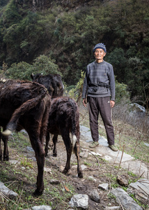 Targe Sherpa (61)