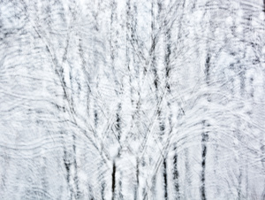 Snow #D96549