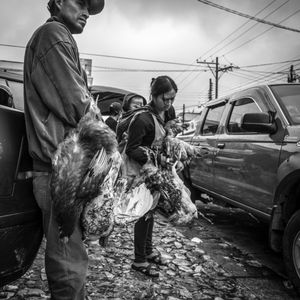 © Francisco Alcala Torreslanda