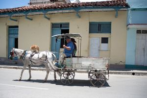 Free ride
