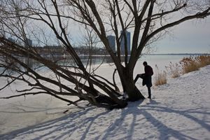 Man with Tree