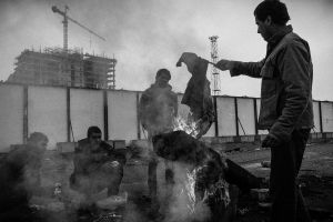 They burn everything they find to keep them warm or prepare some meal