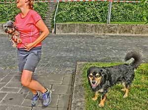 "DOG JOKES" "Hundewitze"