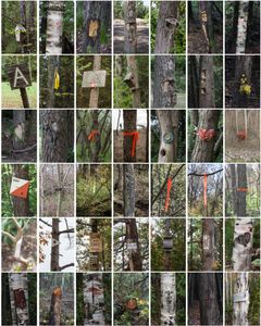 Demarcations  Large grid installation