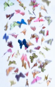 Ephemeral 08