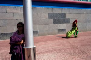 A woman dressed of Poison Ivy. Madrid. 2016