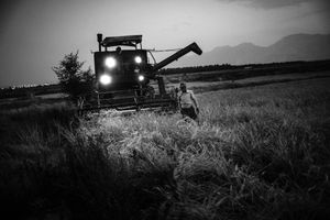 Boushehr _ shonbeh city _ 2014