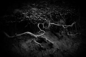 "Reach," from the REACH portfolio by RS McWherter.