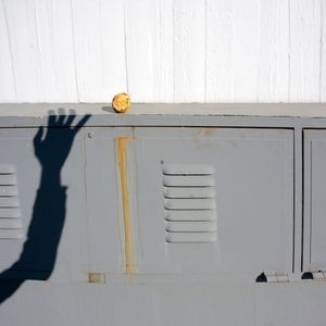 the last apple