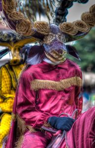 MASQUERADE OF SLEEVES