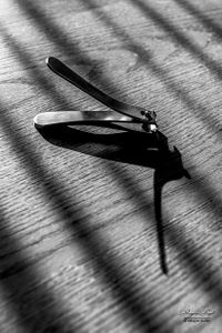 Still Life | 08