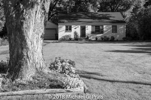 Tree and Blockhouse