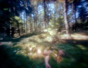 untitled, 2013; archival pigment print from large frormat pinhole negative   © DM Witman