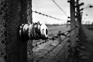 Details of the extermination