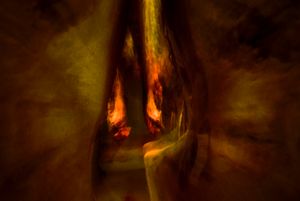 Slaughterhouse elegy IV.
