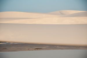 Sandhill