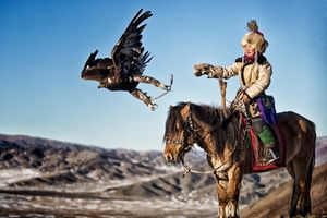 Eagle Hunter Aigerim CO116