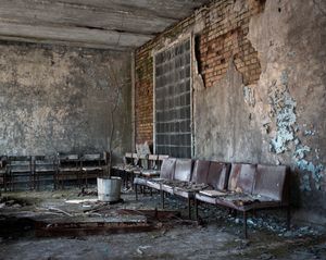 7. Pripyat. The forest grounds.