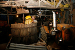 Filling the cider press with ground apples