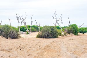 Morrocan Style: Ephemeral landscapes 1