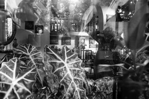 Untitled _04