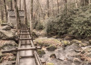 Alfred Reagans Tub Mill