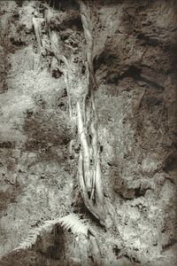 © Guido Paulussen