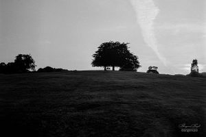 Hampstead Heath | 08