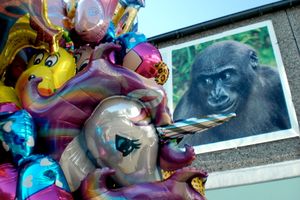 "Ape & Unicorne" "Affe und Einhorn"