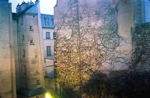 mur en hiver