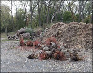 Compost