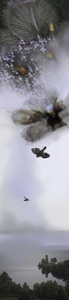 Bird of Paradise in a Bell Jar Dreaming