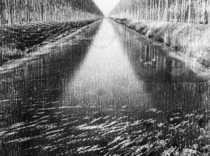Manipulated by Time
