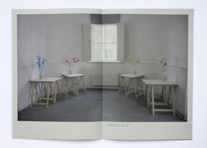 Fake Flowers Overview